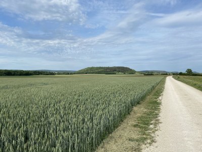 Holiday house Elegantes Familienhaus in Bouix - Environment photo 26