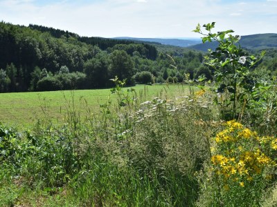 Holiday house Elegantes Familienhaus in Bouix - Environment photo 39