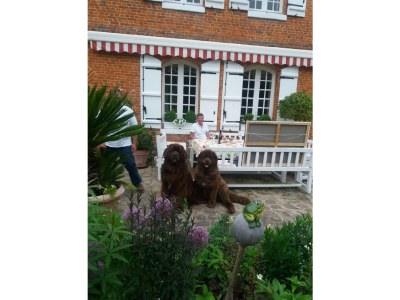 Holiday house La Ferme du Manoir - Outdoor photo 6
