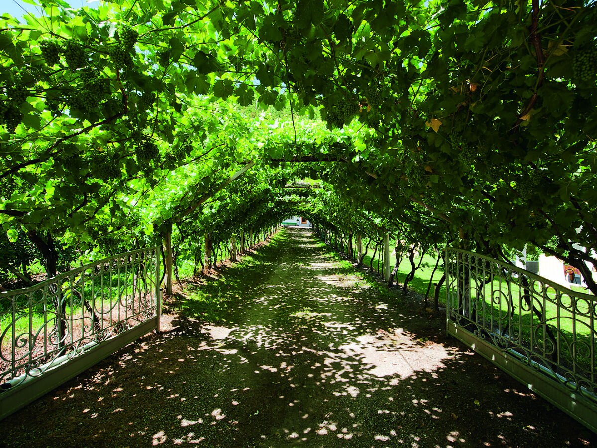 Holiday apartment Schrenteweinhof 1 - Outdoor photo 5