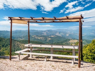 Farmhouse Panoramic Countryside Home - Outdoor photo 15
