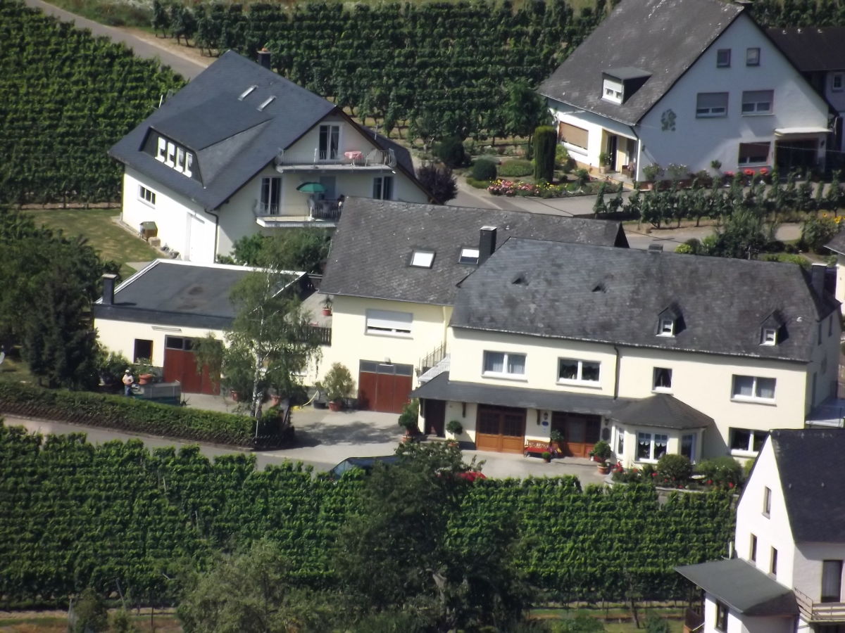 Holiday apartment 'Held' in a guesthouse amidst the vineyards - Outdoor photo 3