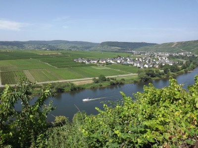 Holiday apartment 'Held' in a guesthouse amidst the vineyards - Environment photo 32
