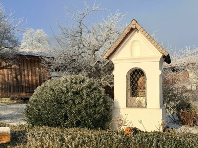 Holiday apartment Biohof Schwaig Sonnenhut - Outdoor photo 11