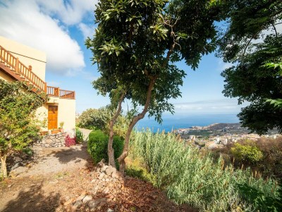 Holiday house Holiday home Icod de los Vinos - Features photo 16