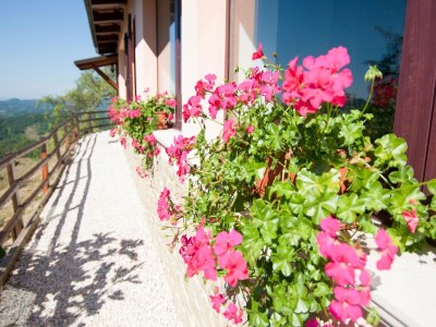 Farmhouse Bauernhaus in Apecchio mit Aussicht - Outdoor photo 6