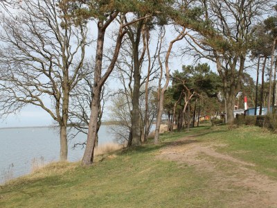 Bungalow Bungalow in Pepelow direkt am Haff - Environment photo 33