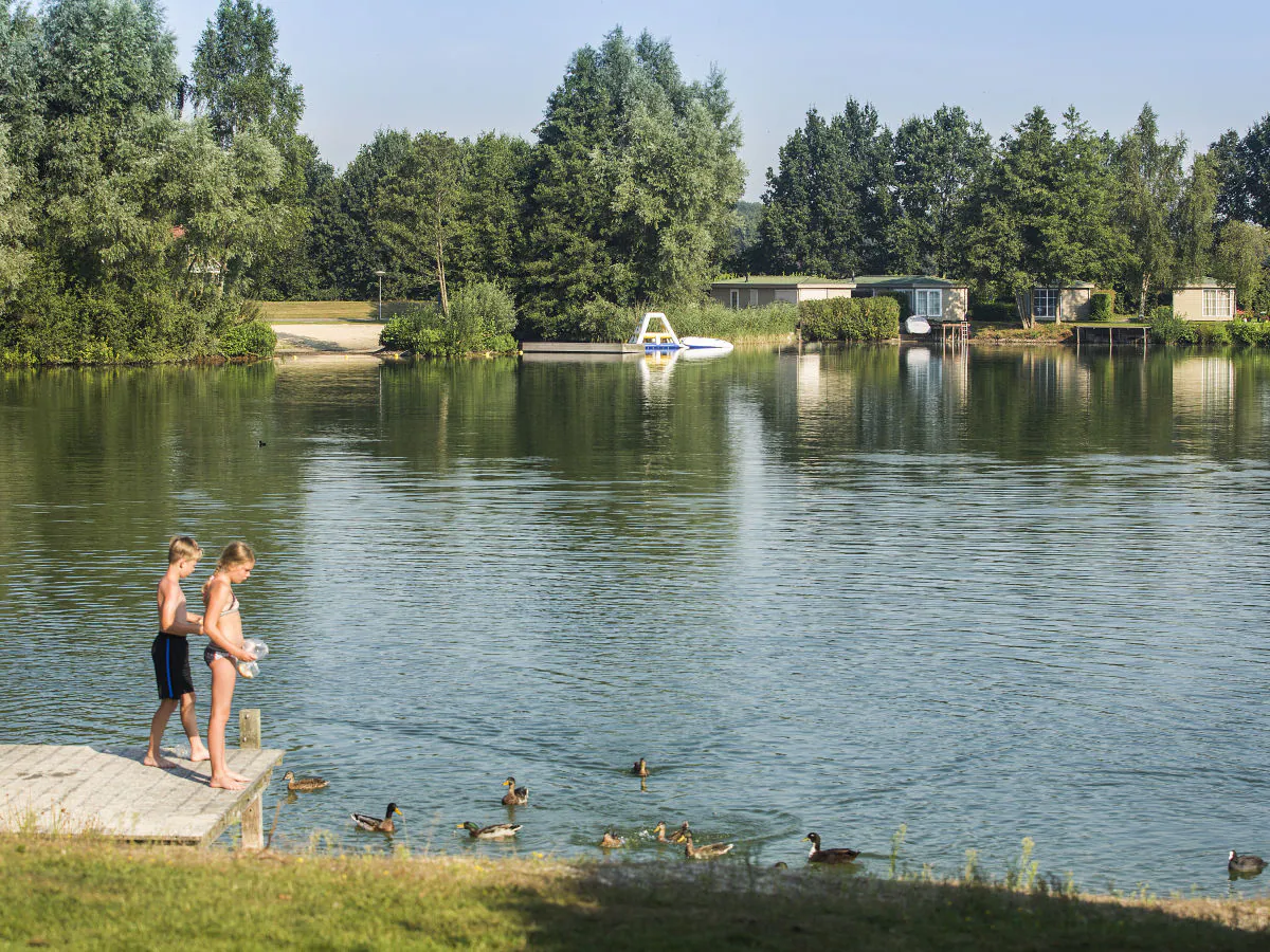 Holiday apartment De Tolplas - Outdoor photo 4