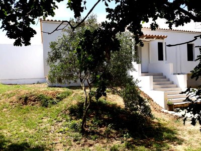 Holiday house Villa Ena - Outdoor photo 6
