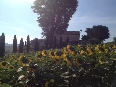 Holiday house Loggia Paradiso - Outdoor photo 9