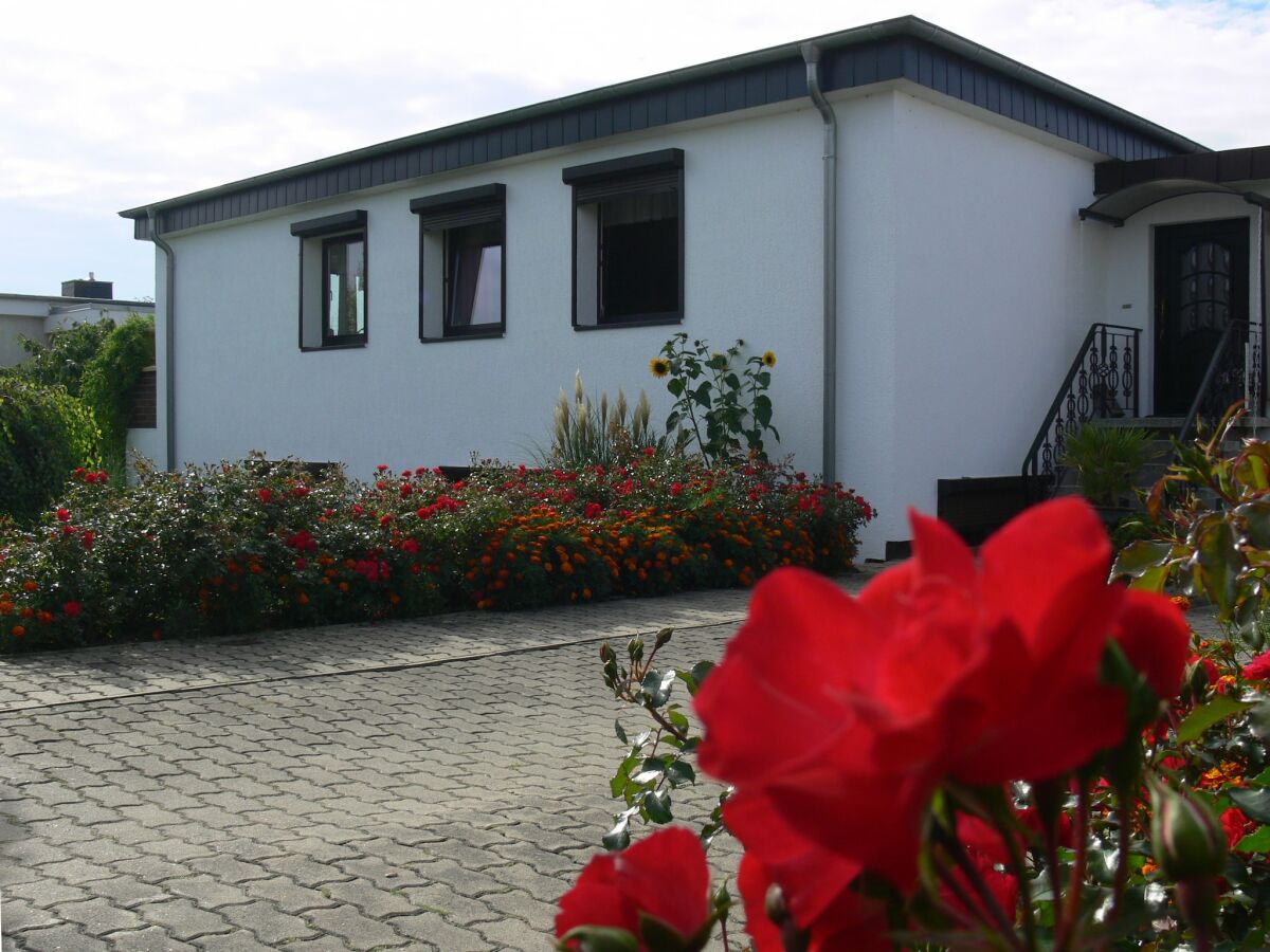Apartment Ferienwohnung Rerik mit eingezäuntem Garten
