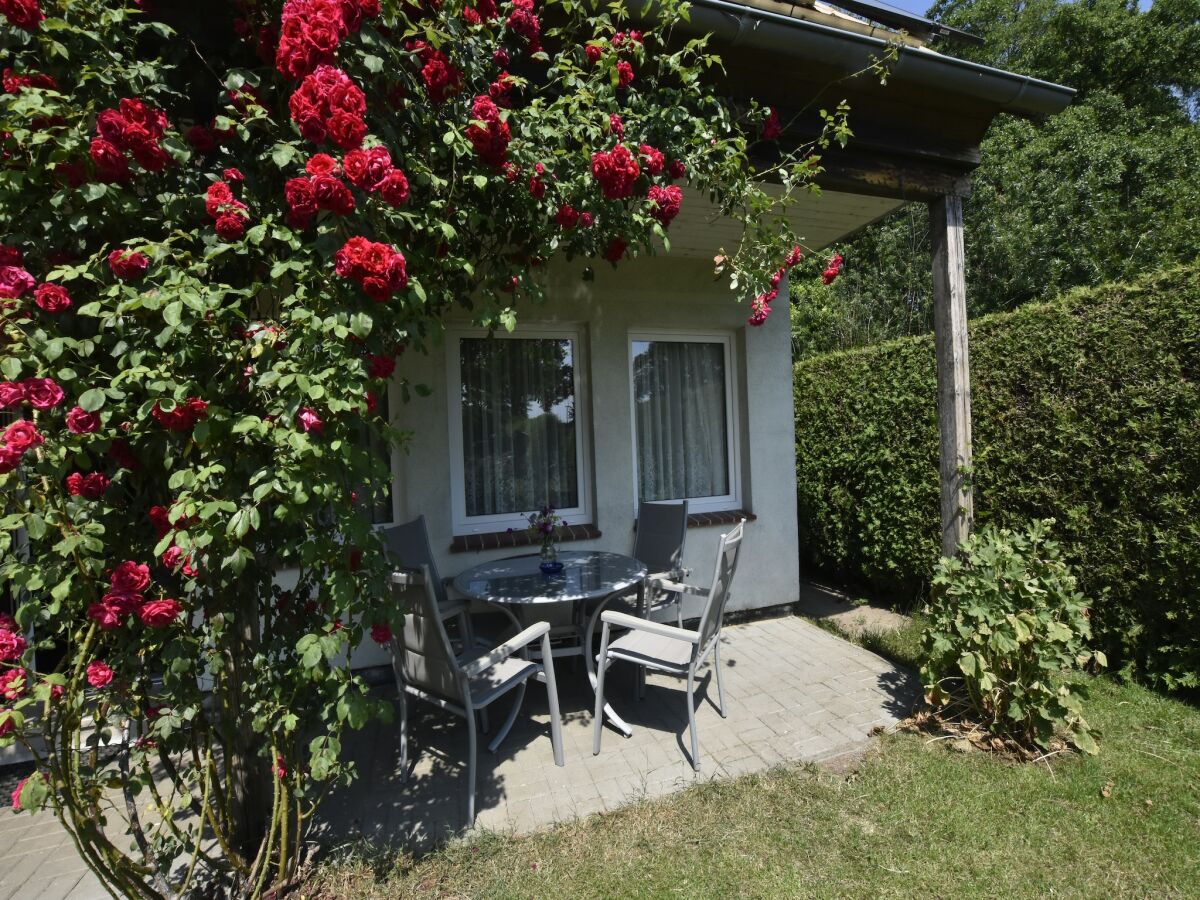 Holiday house Ferienhaus in Neubukow mit Terrasse - Outdoor photo 3