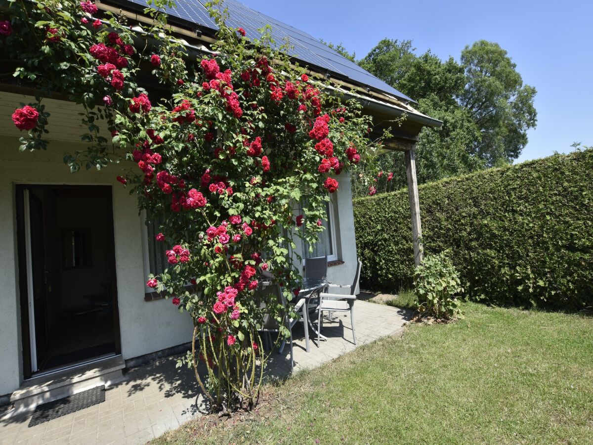 Holiday house Ferienhaus in Neubukow mit Terrasse - Outdoor photo 5