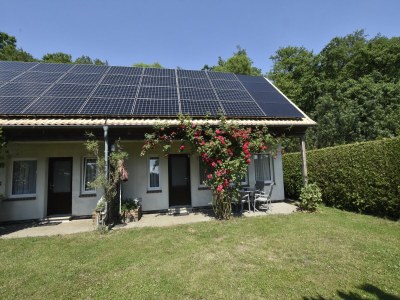 Holiday house Ferienhaus in Neubukow mit Terrasse - Outdoor photo 7