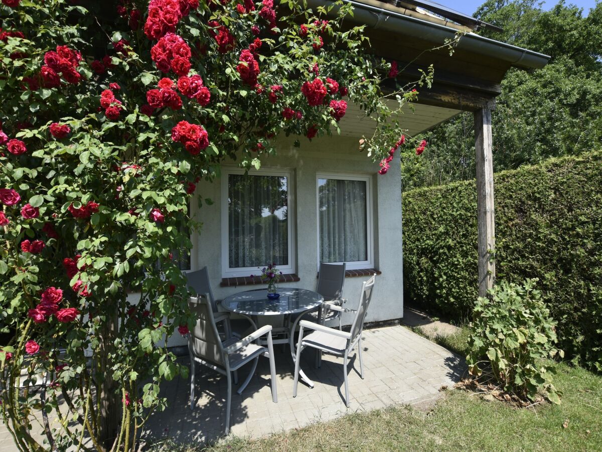 Holiday house Ferienhaus nahe Ostseeküste und Wald - Outdoor photo 2