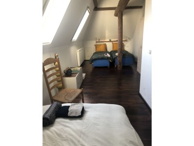 Holiday apartment The Chestnut Tree - Features photo 14