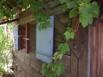 Holiday house Ferienhaus Vogtshof - Outdoor photo 4
