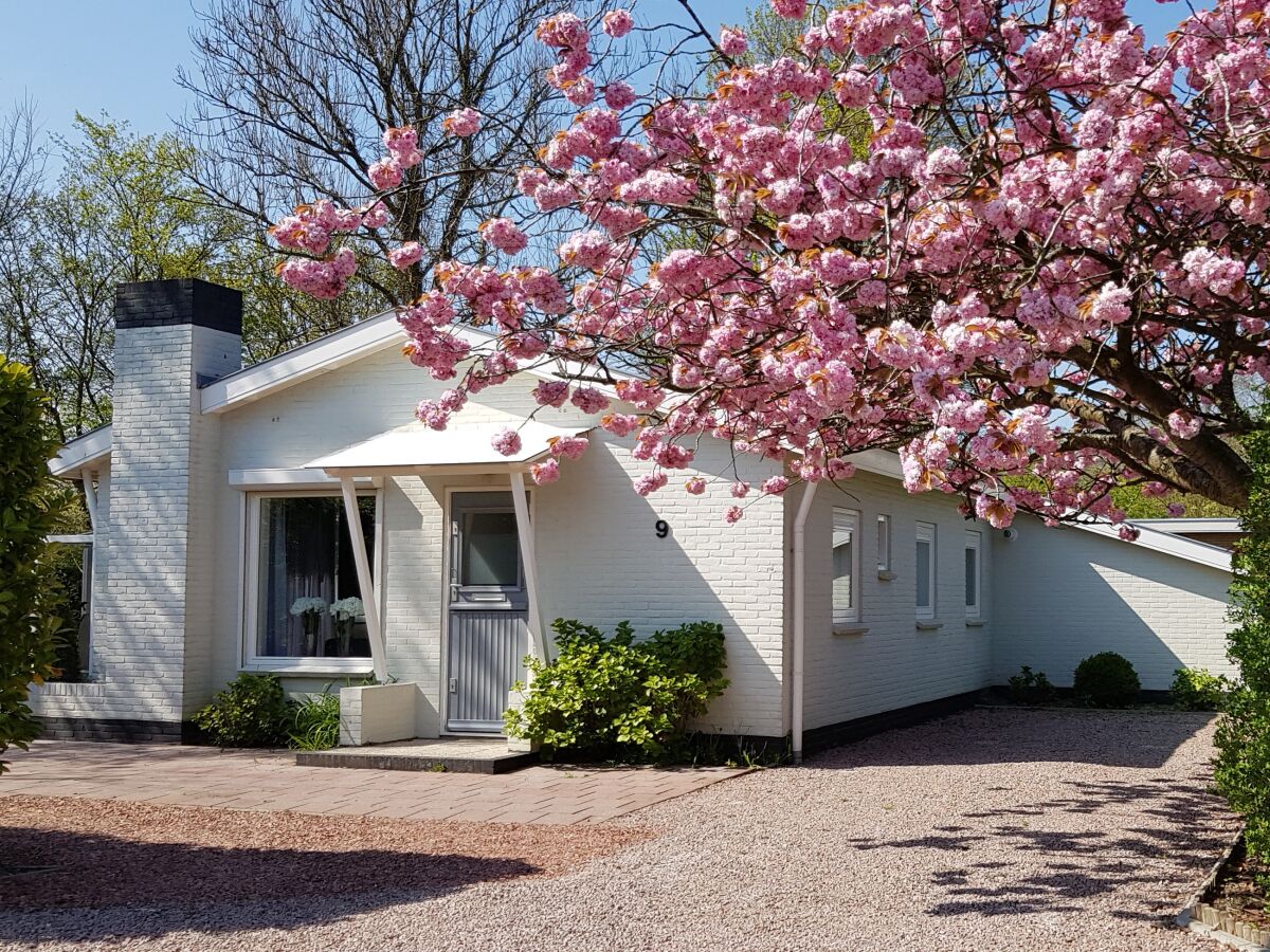 Bungalow Dennenbos BV 5