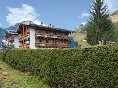 Apartment Apartment in Wald near Zillertal Ski Area - Outdoor photo 5