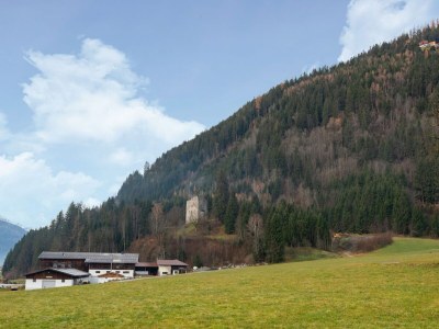Apartment Apartment in Wald near Zillertal Arena - Environment photo 35