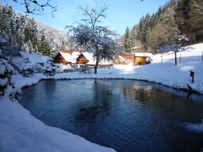 Holiday apartment Eulersbacher Hof - Outdoor photo 7