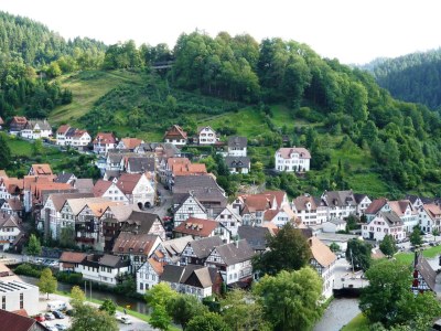 Holiday apartment Eulersbacher Hof - Environment photo 17