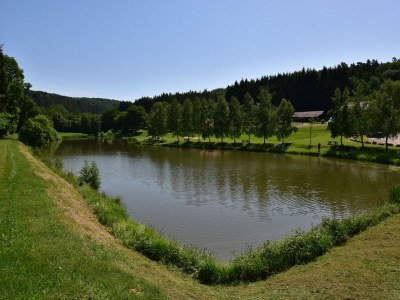 Holiday house Cottage in Saint-Quirin by Lake & Town - Environment photo 40