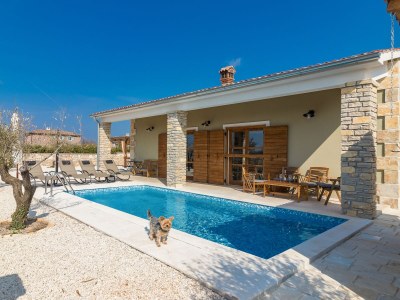 Villa Villa Malena in Svetvinčenat - Villa
