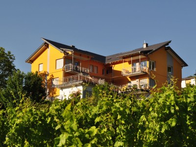 Holiday apartment SonnenHof in Enkirch - Holiday apartment