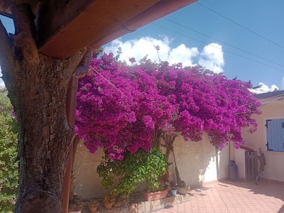 Villa La Maison du Monde - Outdoor photo 14