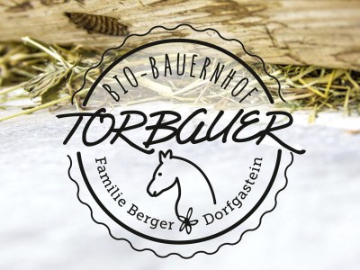 Holiday apartment Bio Bauernhof TORBAUER - Document photo 19