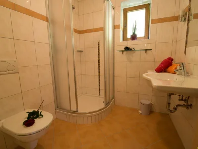 Holiday apartment in Leogang - Features photo 9