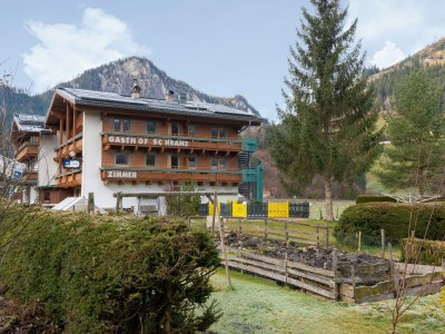 Apartment Wohnung in Wald nahe Zillertal Arena in Nationalpark Hohe Tauern - Apartment