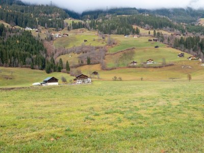 Apartment Wohnung in Wald nahe Zillertal Arena - Environment photo 27