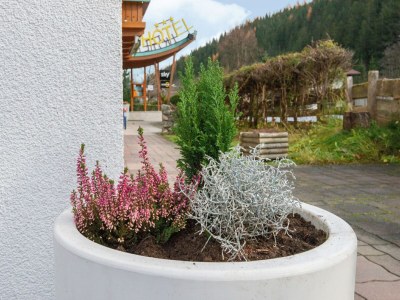 Apartment Wohnung in Wald nahe Zillertal Arena - Outdoor photo 31