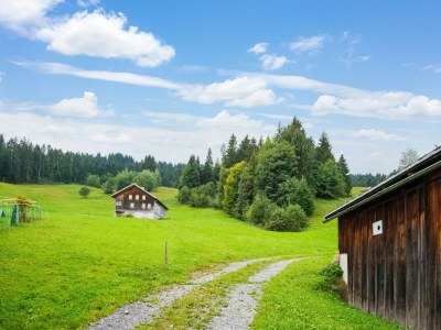 Holiday house Chalet in Schwarzenberg am Skilift - Outdoor photo 6