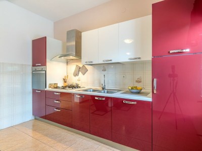 Apartment - Apartment Terlevic with Terrace - Features photo 6