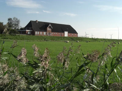 Holiday apartment in a frisian house in Langenhorn - Holiday apartment