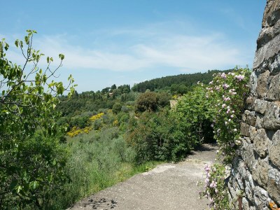 Holiday house Ferienhaus in Chianti mit Pool und Sauna - Environment photo 19