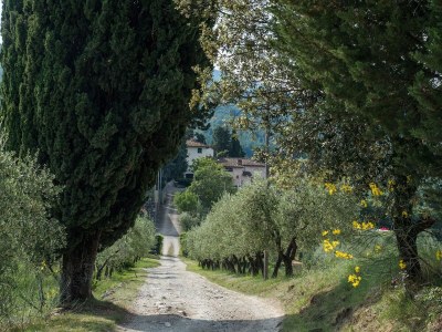 Holiday house Ferienhaus in Chianti mit Pool und Sauna - Environment photo 20