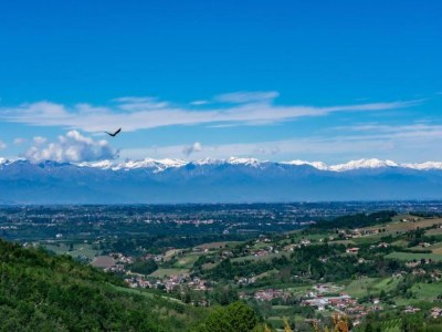 Apartment Hillview Langhe Apartment - Environment photo 25