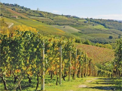 Apartment Hillview Langhe Apartment - Environment photo 26