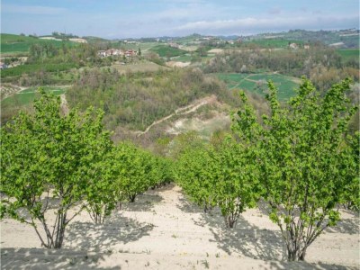 Apartment Hillview Langhe Apartment - Environment photo 27
