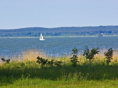 Holiday house Achterhus - Environment photo 22