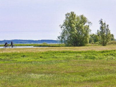 Holiday house Achterhus - Environment photo 23