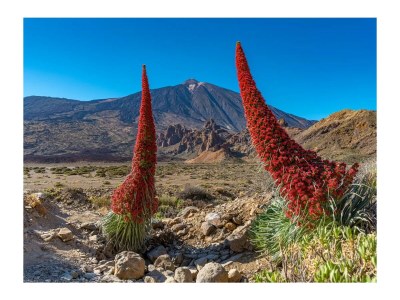 Holiday apartment "Flora" in La Paz - Environment photo 34