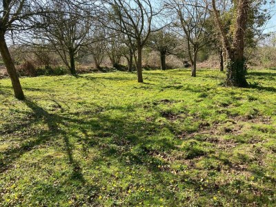 Holiday house Quiet Normandy Hideaway - Outdoor photo 3