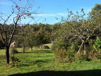 Holiday house Quiet Normandy Hideaway - Environment photo 22