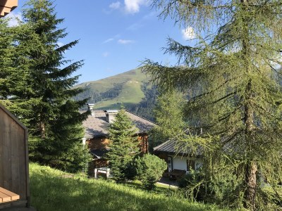 Holiday apartment HÃ¶henrausch - Features photo 25