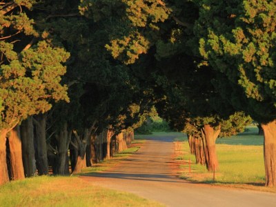 Villa Median - Environment photo 36